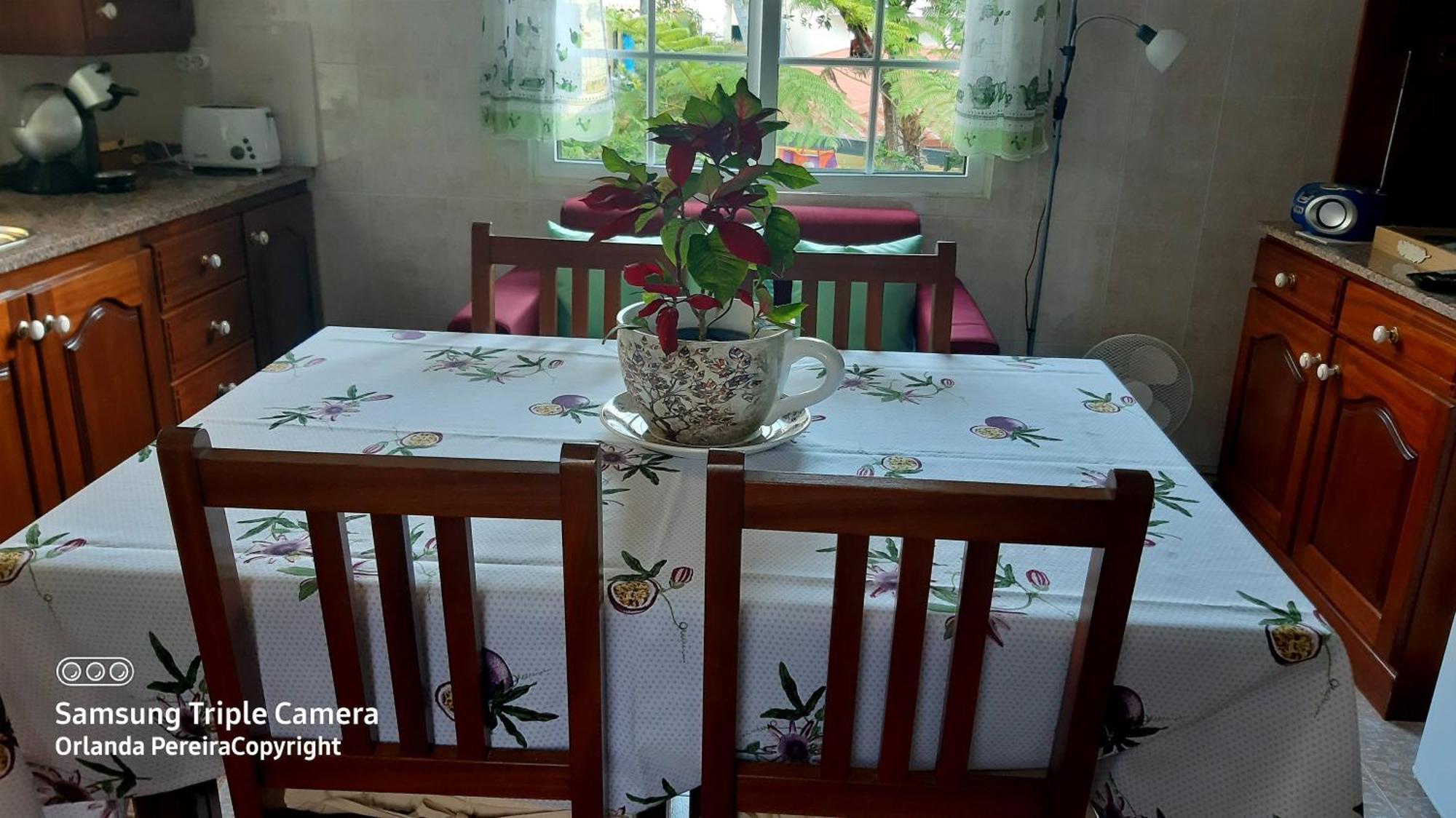Terra Cha Cottage,Feel Home, São Vicente 外观 照片