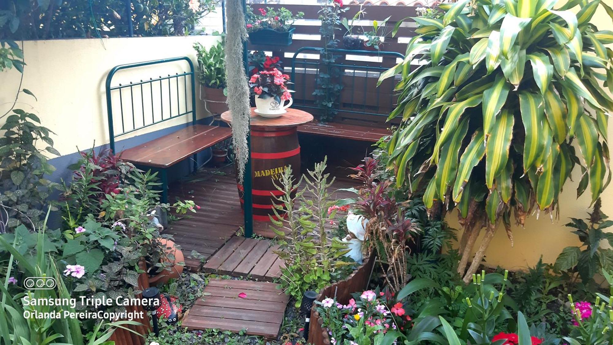 Terra Cha Cottage,Feel Home, São Vicente 外观 照片