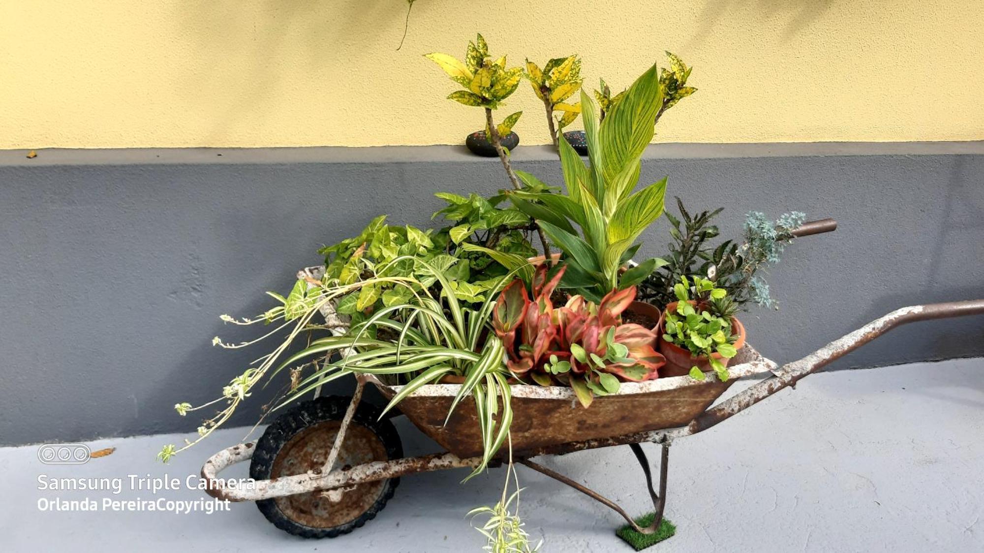 Terra Cha Cottage,Feel Home, São Vicente 外观 照片