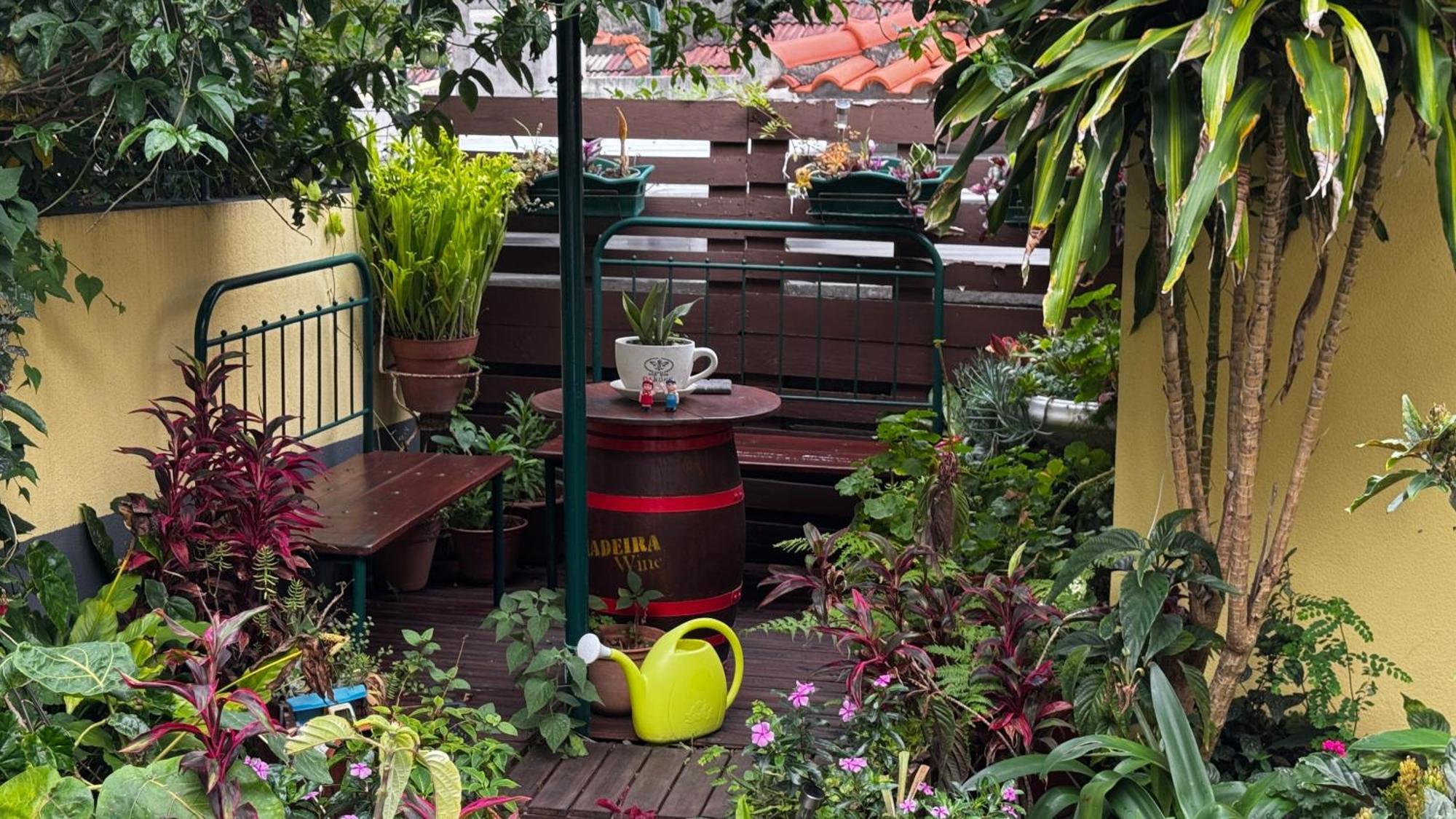 Terra Cha Cottage,Feel Home, São Vicente 外观 照片